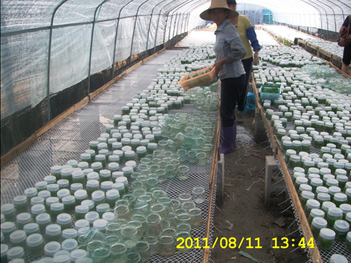 2015010382199689 2015010382199689