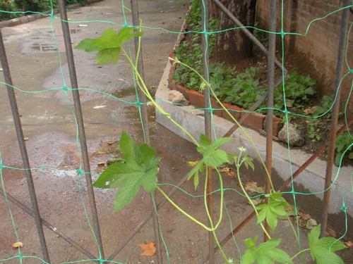 201504110913015636 201504110913015636