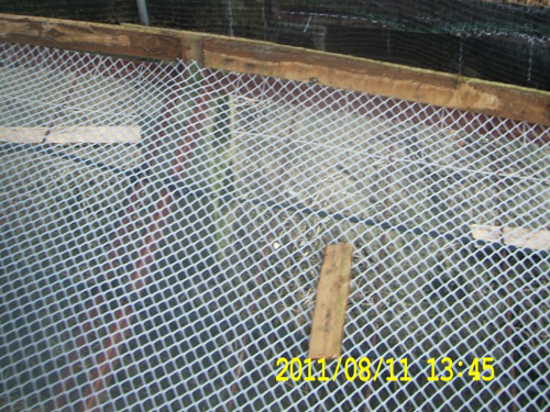 2015010382232377 2015010382232377