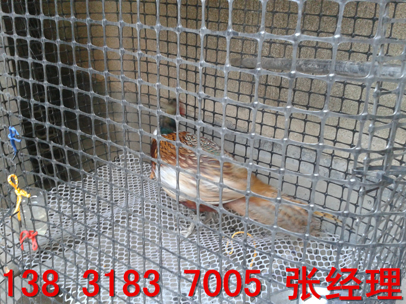 1385452401-2344486_副本 1385452401-2344486_副(fù)本