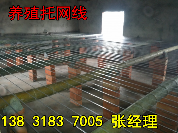 47421502249792.jpg 47421502249792.jpg