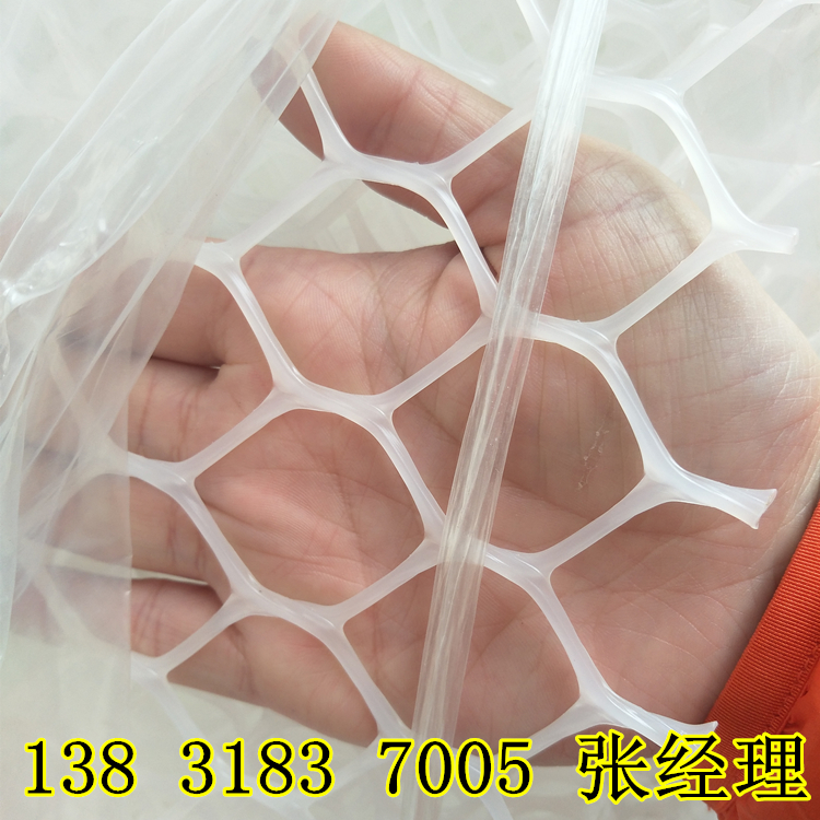 大孔 (2) 大孔 (2)