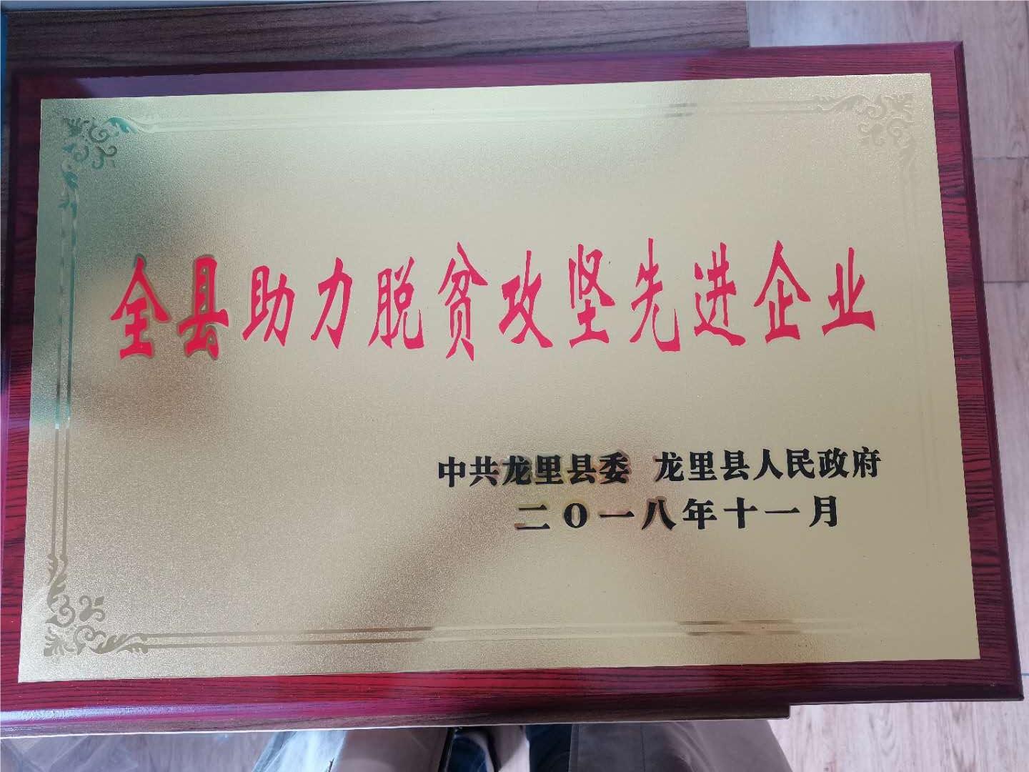 全縣助力脫(tuō)貧攻堅先進企業.